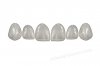 Edelweiss Single Veneer Medium Edelweiss Single Veneer Medium