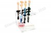 Amelogen Plus Basic Syringe Kit Amelogen Plus Basic Syringe Kit